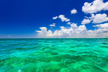 Similar image 17819776