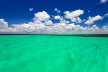 Similar image 17819795