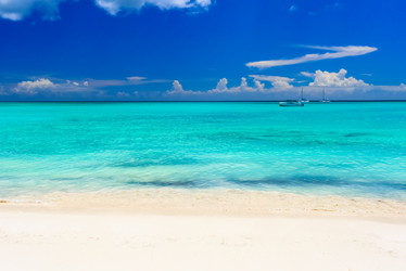 Similar image 17819796