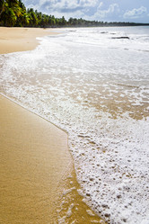 Similar image 17819838