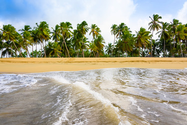 Similar image 17819841