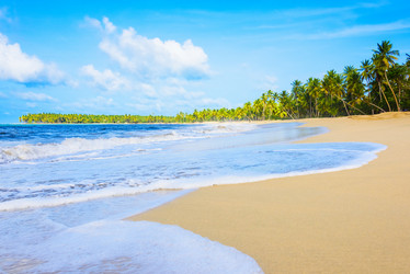 Similar image 17819859