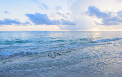 Similar image 17819903