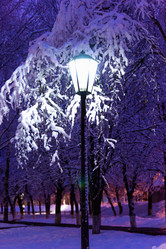 Similar image 17820021