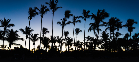 Similar image 18135641