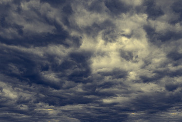 Similar image 18135779