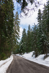 Similar image 18135841