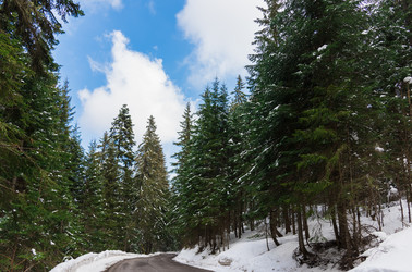 Similar image 18135853