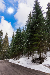 Similar image 18135876