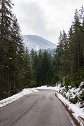 Similar image 18135938