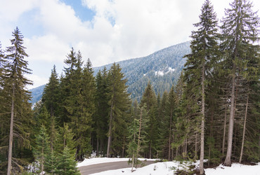 Similar image 18135974