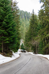 Similar image 18136032