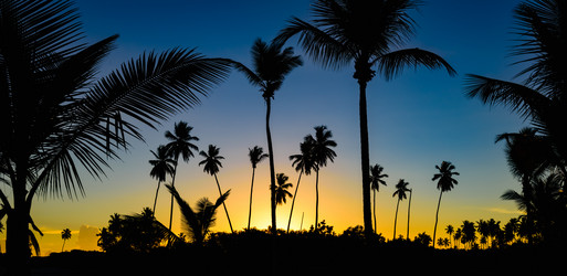 Similar image 18136151