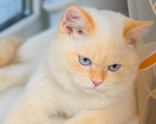 Similar image 17819405