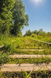 Similar image 17819429