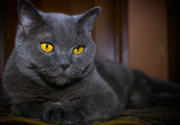 Similar image 17819468