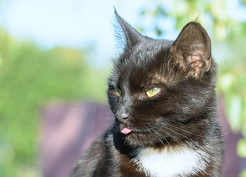 Similar image 17819487