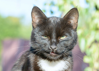 Similar image 17819489