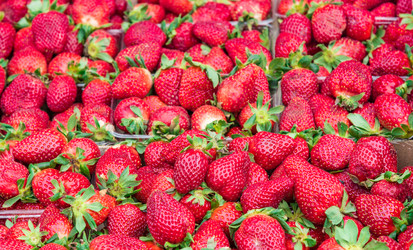 Similar image 17819504