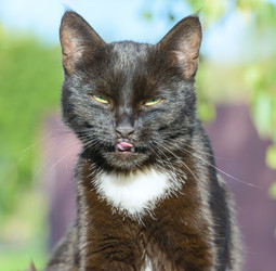 Similar image 17819506