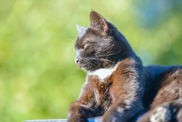 Similar image 17819525