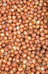 Similar image 17819526