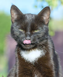 Similar image 17819534