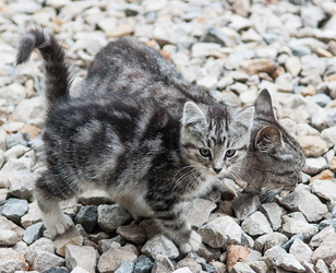 Similar image 17819536