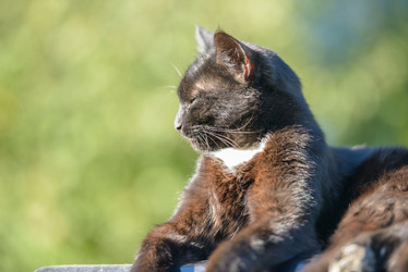 Similar image 17819562