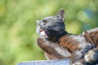 Similar image 17819571