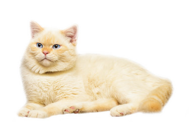 Similar image 17819576