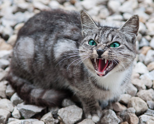 Similar image 17819594