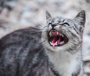 Similar image 17819614