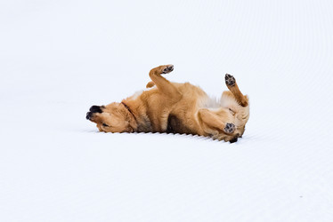 Similar image 17819672