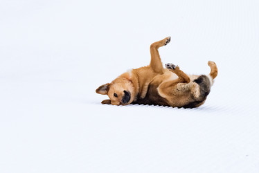 Similar image 17819688