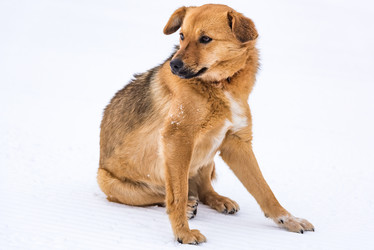 Similar image 17819681