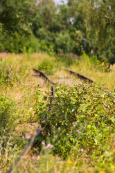 Similar image 17819682