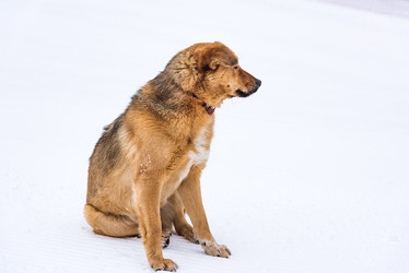 Similar image 17819724