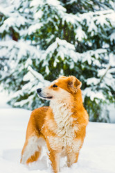 Similar image 17819844