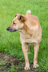 Similar image 17819864