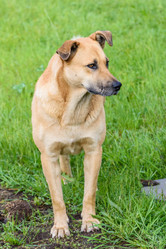 Similar image 17819867