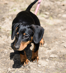 Similar image 17819941