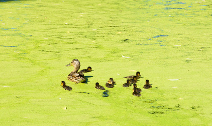 Similar image 17819944