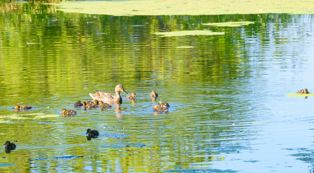 Similar image 17819960