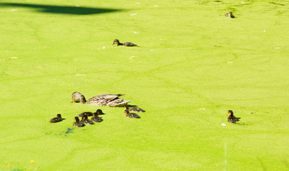 Similar image 17819970