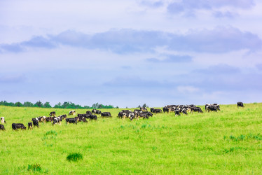 Similar image 17819988