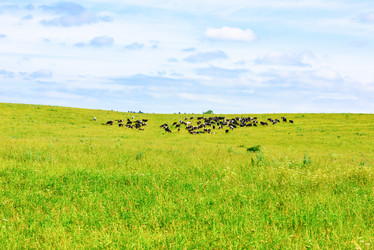 Similar image 17820026