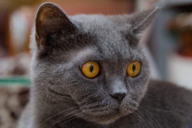 Similar image 17820065