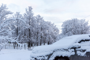 Similar image 18135743