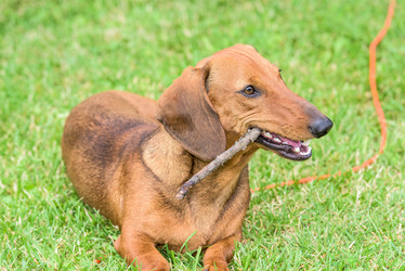 Similar image 18135781